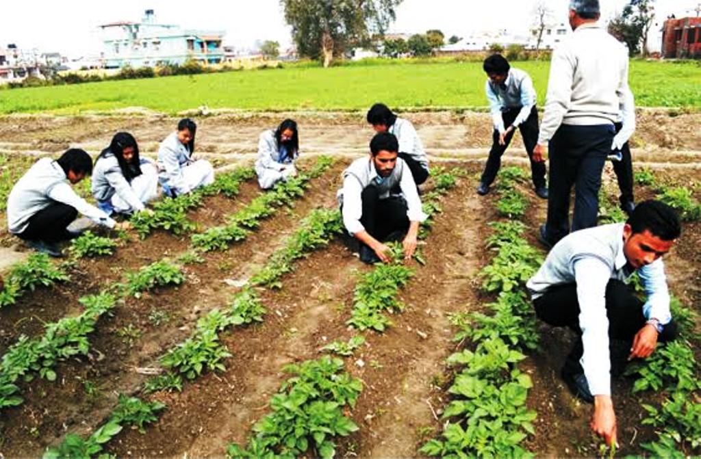 Agriculture Education