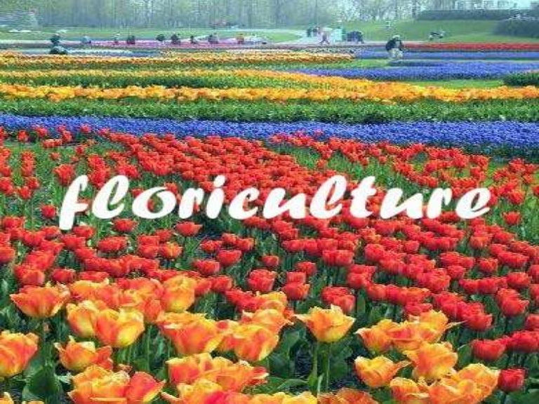 FLORICULTURE TECHNICAL